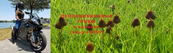 a pvp Абдулино