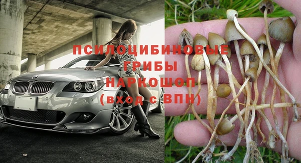 СК Абинск