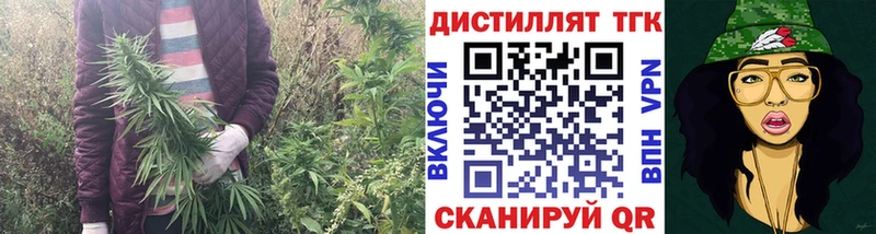 закладка  Барнаул  ТГК концентрат 