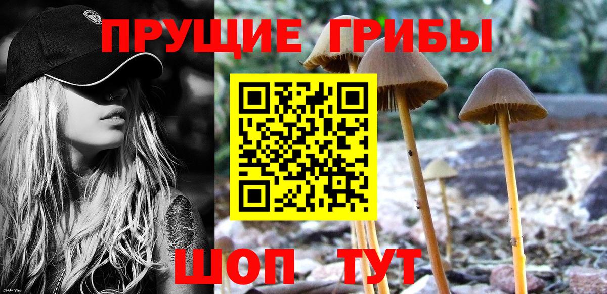 наркошоп  Псилоцибиновые грибы ЛСД  Вход с VPN  Барнаул 